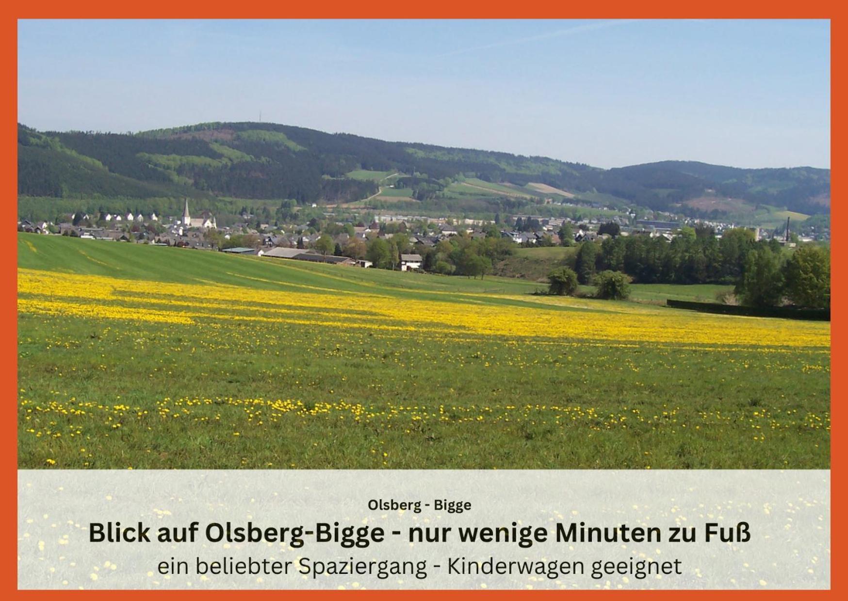 Ferienwohnungen Sauerland Und Olsberg Exterior photo