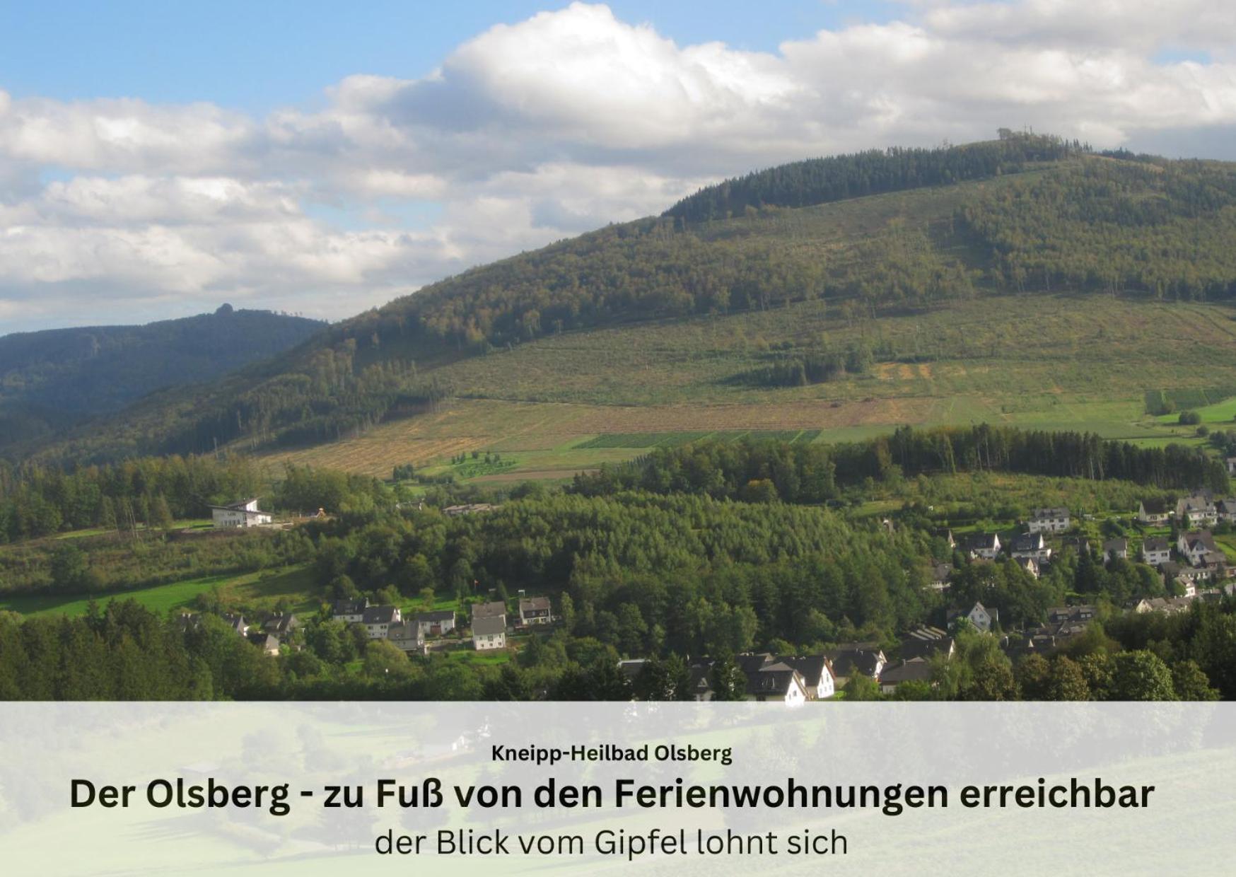 Ferienwohnungen Sauerland Und Olsberg Exterior photo