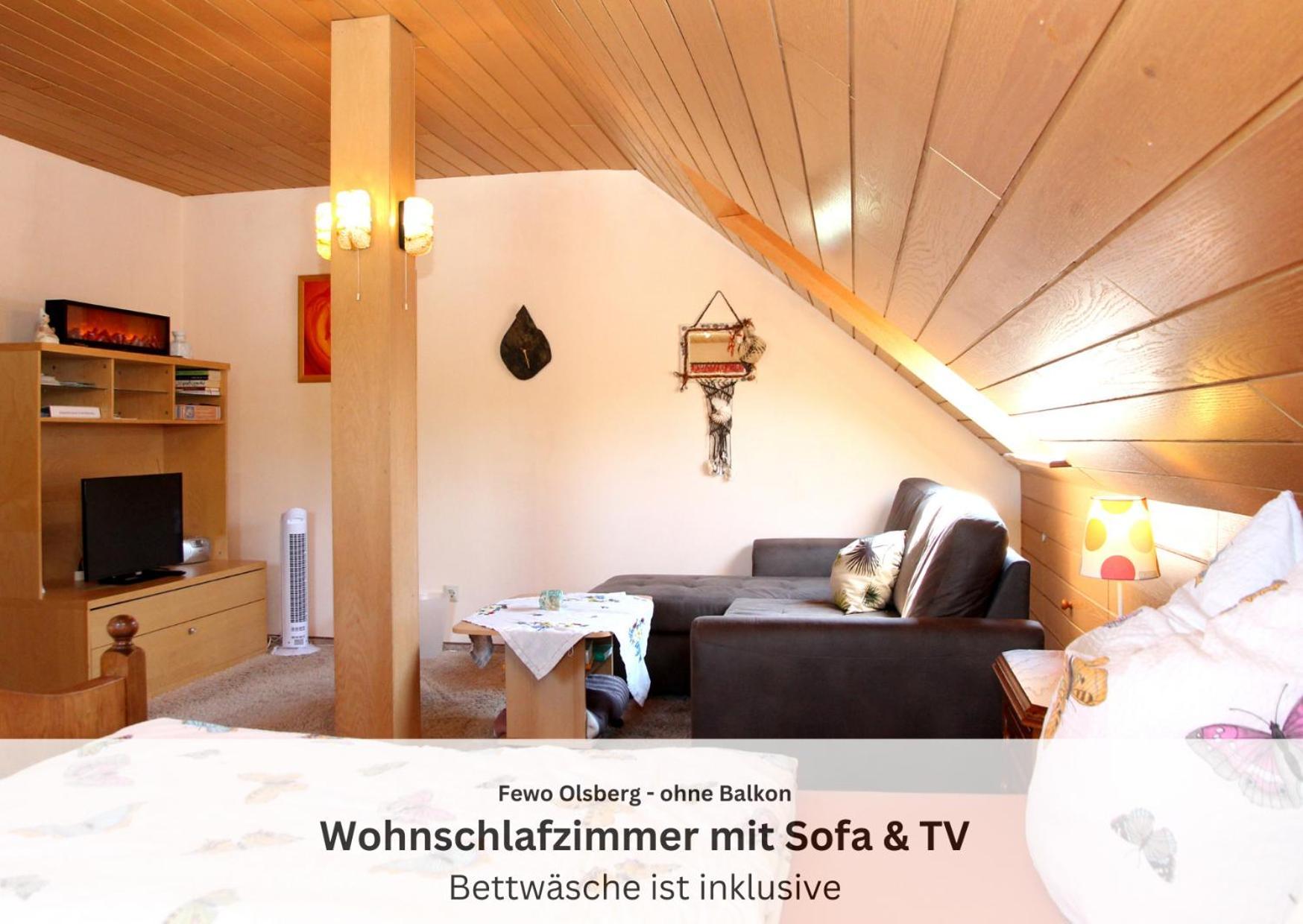 Ferienwohnungen Sauerland Und Olsberg Exterior photo