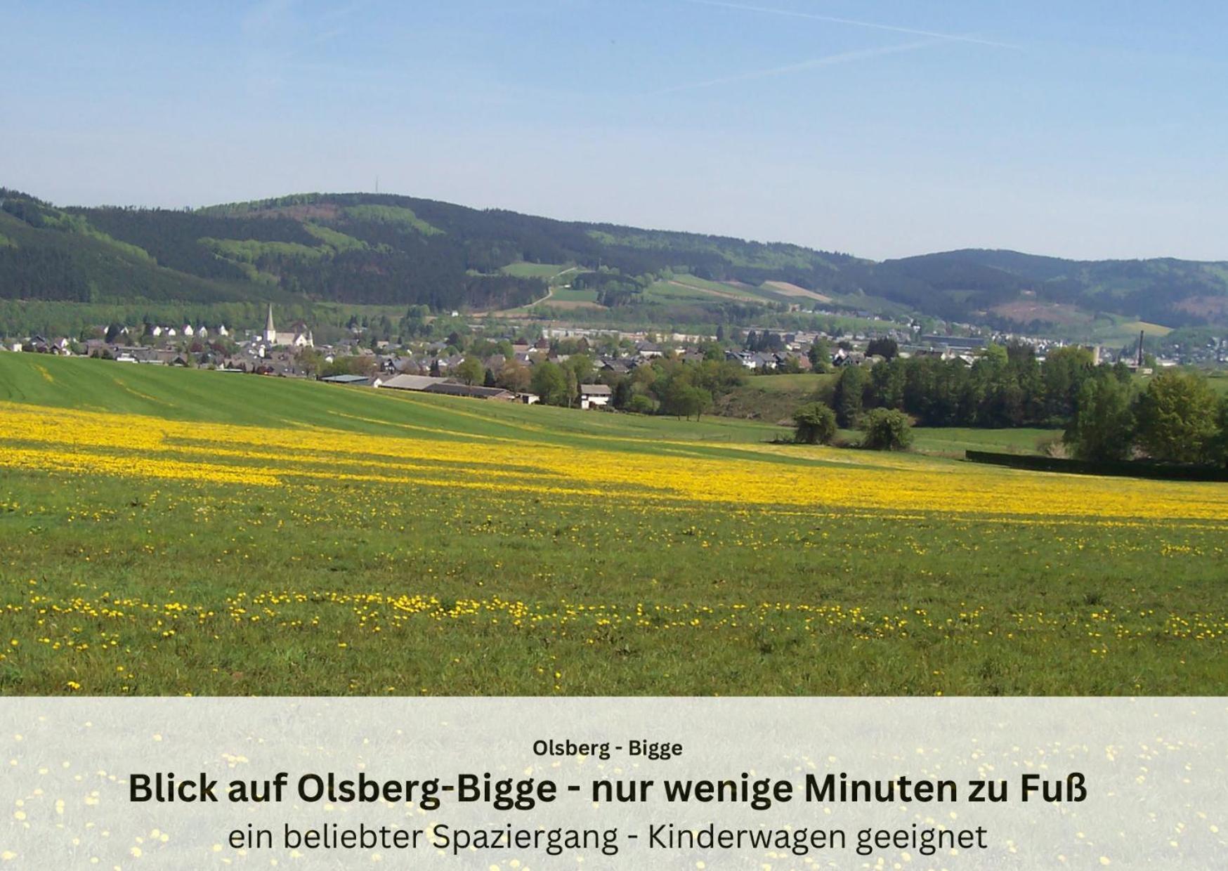 Ferienwohnungen Sauerland Und Olsberg Exterior photo